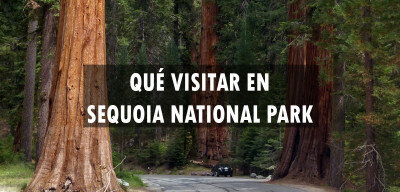 ✈️ Qué visitar en Sequoia National Park